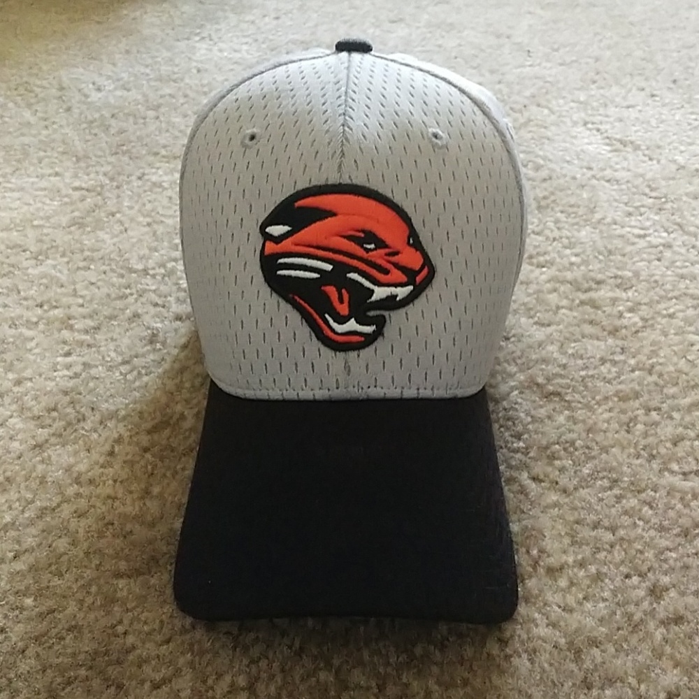 Panthers Baseball Cap / Hat